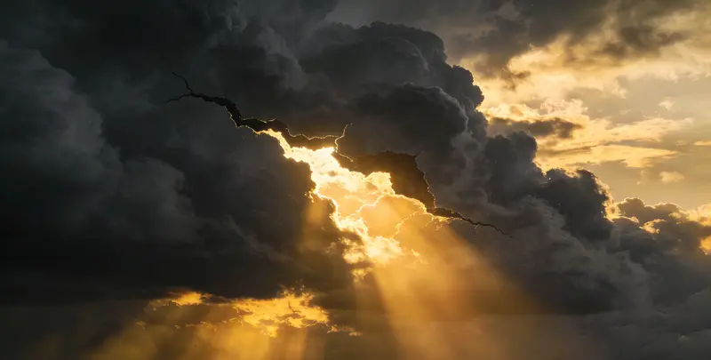 临汾肺癌8基因突变检测（组织）图片1