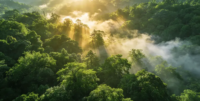 临汾肺癌靶向120基因检测（组织）图片1