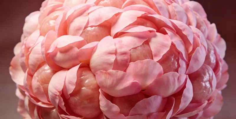 临汾BRCA1/2乳腺癌卵巢癌基因检测图片1